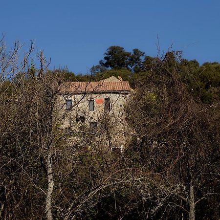Casa Giacometti Grosseto-Prugna 외부 사진