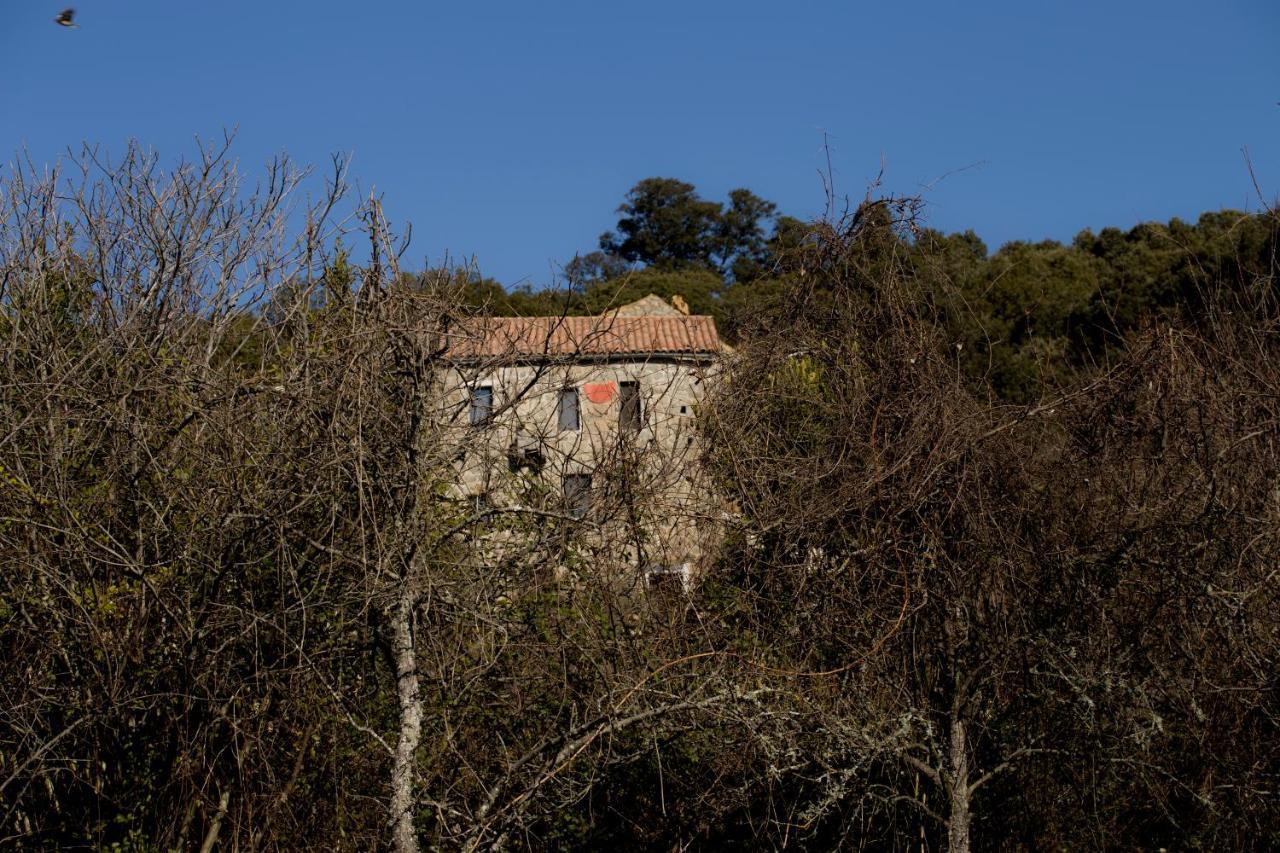 Casa Giacometti Grosseto-Prugna 외부 사진